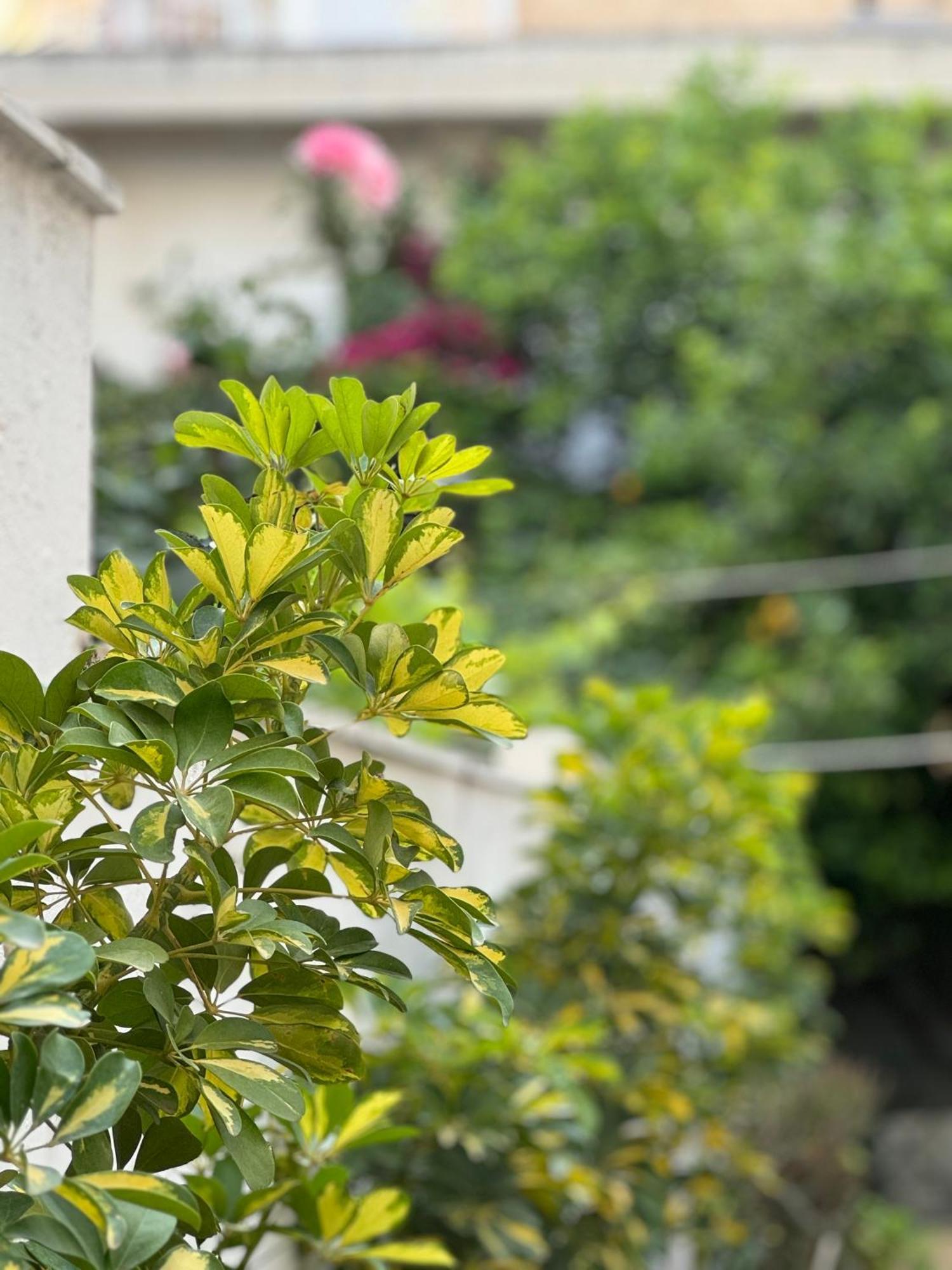 Μονοκατοικία «Maizonette Passaggio G» Vólos Extérieur photo